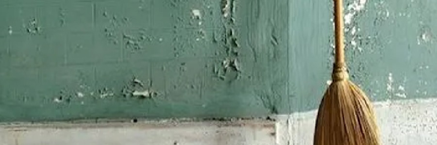 Displacement and cracking near large tree roots