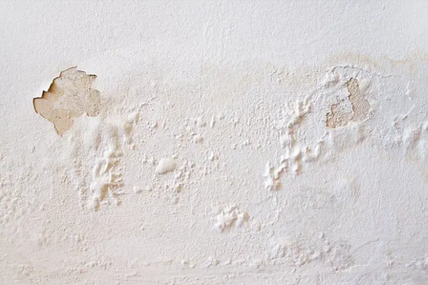 hygroscopic salts in chimney