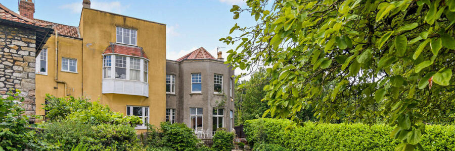 understanding different types of surveys