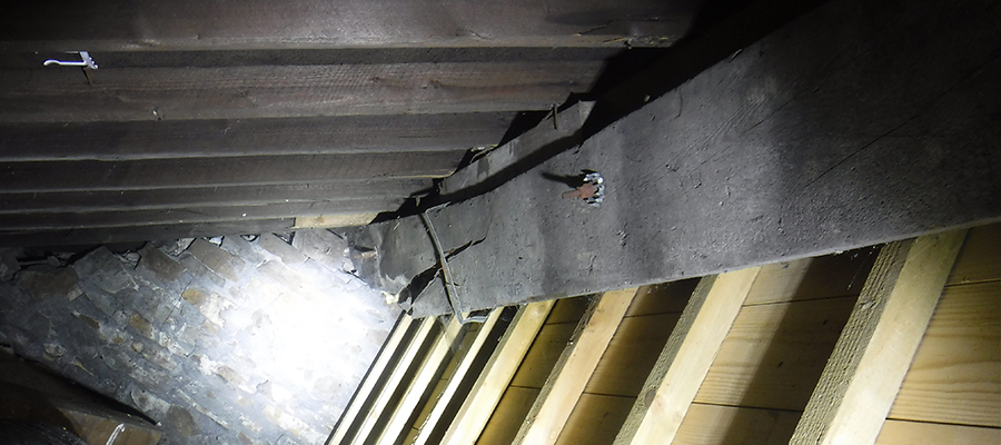 how many home sales come with a survey